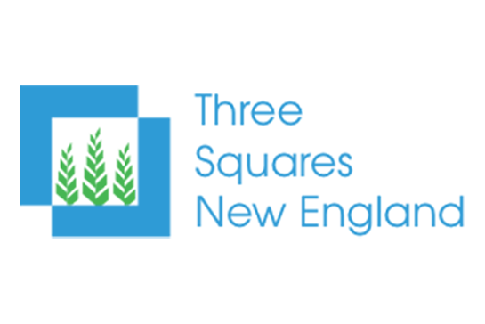 three-squares-new-enlgand-logo